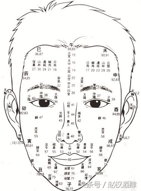 面相年齡|【面相年齡】一窺你的面相年齡：用九執流年法、面相學，瞭解你。